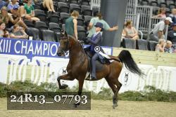 24R13_07793 thumbnail