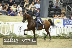 24R13_07794 thumbnail
