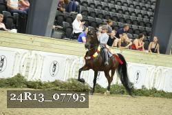 24R13_07795 thumbnail