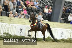 24R13_07796 thumbnail
