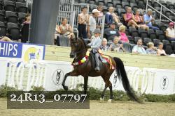24R13_07797 thumbnail