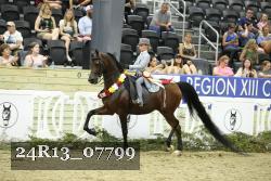 24R13_07799 thumbnail