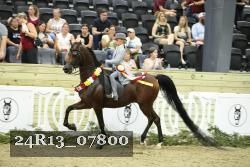 24R13_07800 thumbnail