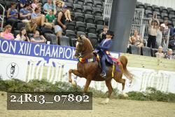 24R13_07802 thumbnail