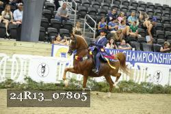 24R13_07805 thumbnail