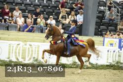 24R13_07806 thumbnail