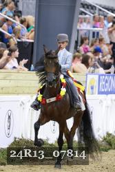 24R13_07814 thumbnail