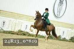 24R13_07819 thumbnail