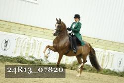 24R13_07820 thumbnail