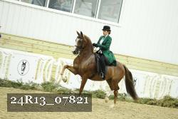24R13_07821 thumbnail