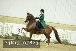 24R13_07823 thumbnail