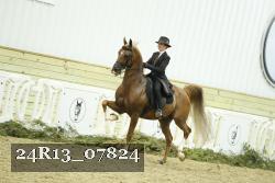 24R13_07824 thumbnail