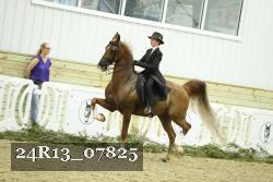 24R13_07825 thumbnail