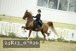 24R13_07826 thumbnail