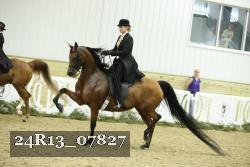 24R13_07827 thumbnail