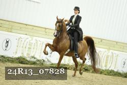 24R13_07828 thumbnail