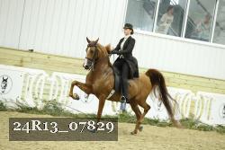 24R13_07829 thumbnail