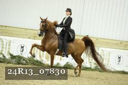 24R13_07830 thumbnail