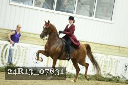 24R13_07831 thumbnail