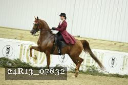 24R13_07832 thumbnail