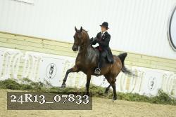 24R13_07833 thumbnail