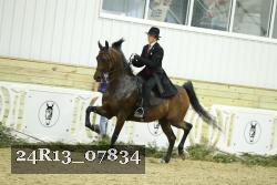 24R13_07834 thumbnail