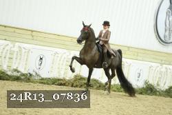 24R13_07836 thumbnail