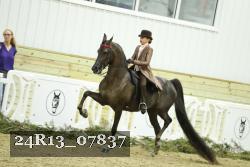24R13_07837 thumbnail