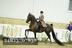 24R13_07838 thumbnail