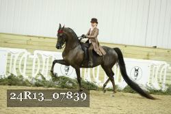 24R13_07839 thumbnail