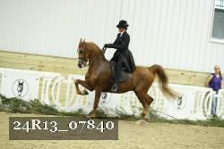 24R13_07840 thumbnail