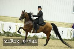 24R13_07841 thumbnail