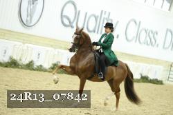 24R13_07842 thumbnail