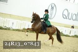 24R13_07843 thumbnail