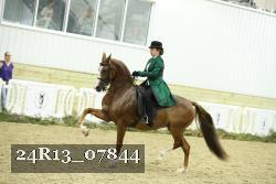 24R13_07844 thumbnail