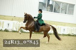 24R13_07845 thumbnail