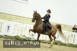 24R13_07846 thumbnail