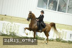 24R13_07847 thumbnail