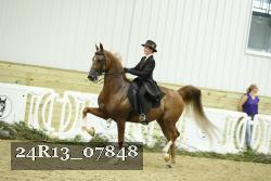 24R13_07848 thumbnail