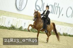 24R13_07849 thumbnail