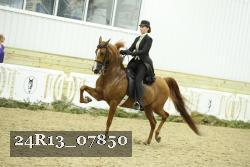 24R13_07850 thumbnail