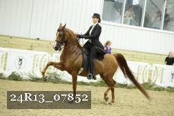 24R13_07852 thumbnail