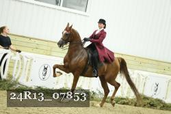 24R13_07853 thumbnail