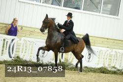 24R13_07858 thumbnail