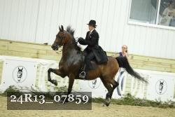 24R13_07859 thumbnail