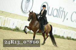 24R13_07860 thumbnail