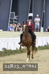 24R13_07861 thumbnail