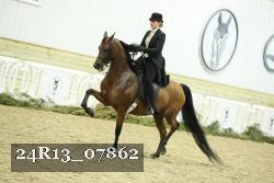 24R13_07862 thumbnail