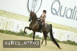 24R13_07863 thumbnail