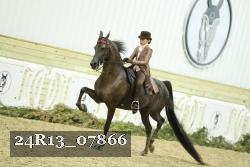 24R13_07866 thumbnail
